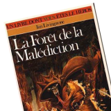 Livres dont vous êtes le héros